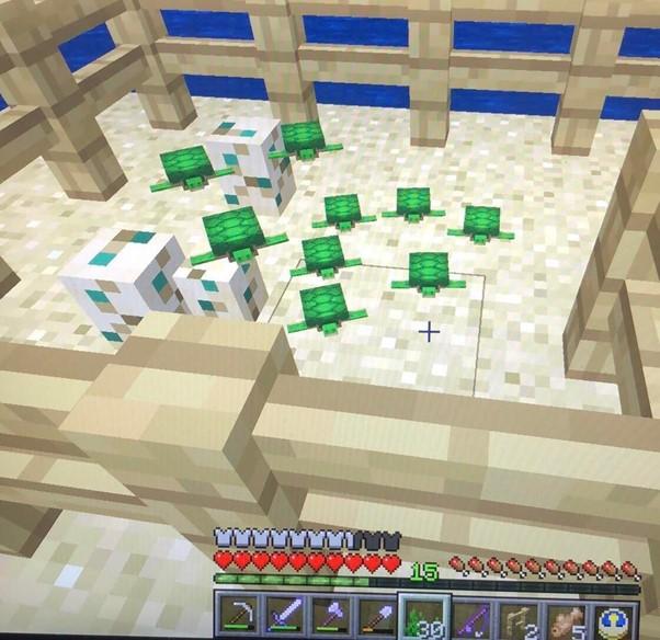 How Long Does It Take For Turtle Eggs To Hatch In Minecraft And Why Total Gaming Network