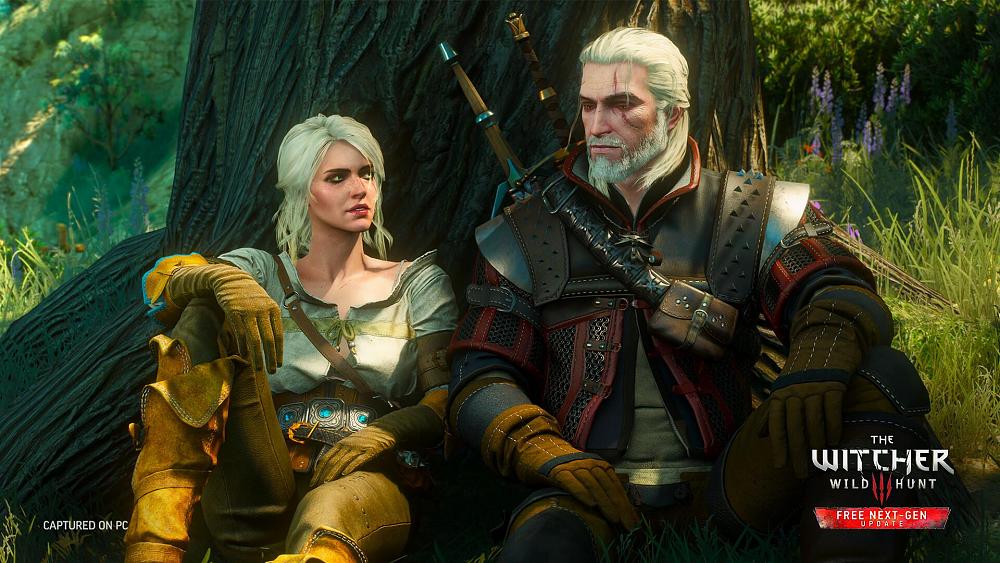 A man and a young woman, both with silver hair, are sitting on grass and leaning back against a large tree. They are both wearing medieval-era looking clothing and armor. The man has two swords on  his back and has a well trimmed beard. Both of them have a scar over their left eye.