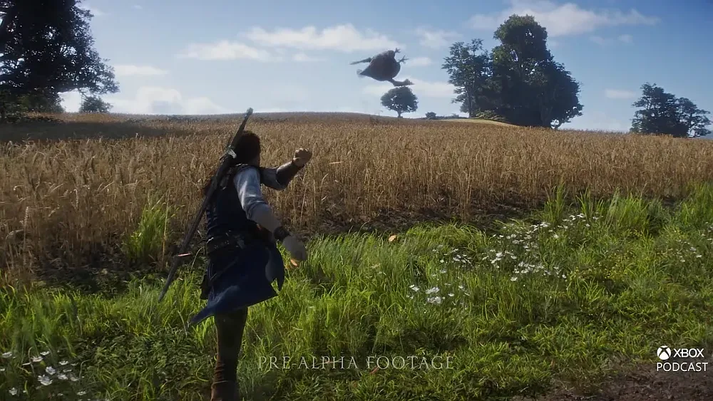 A young woman with a ponytail, medieval fantasy style clothing, and a sword on her back punting a chicken into a field.