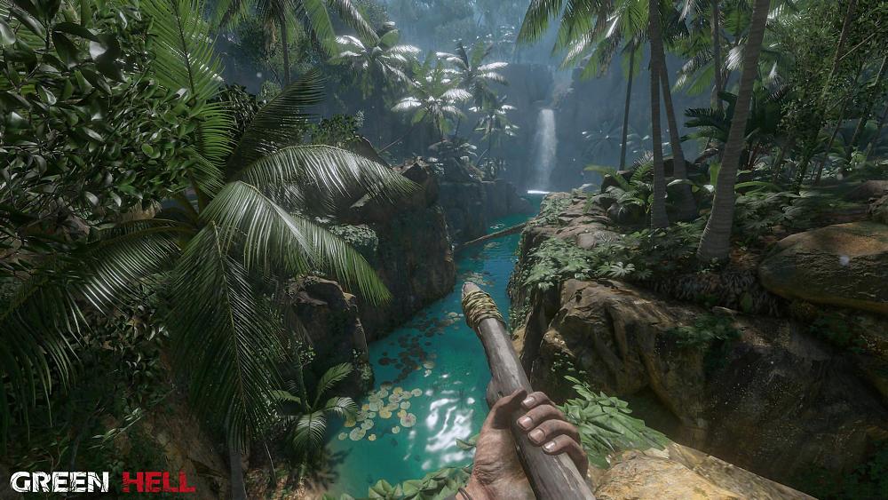 First person view of someone holding a spear overlooking a ravine and river in a dense tropical forest.