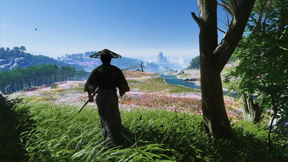 A samurai looking out across a flower-filled field.