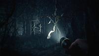 Click image for larger version

Name:	BlairWitch_E32019Sreenshot_totem.jpg
Views:	373
Size:	290.8 KB
ID:	3495398