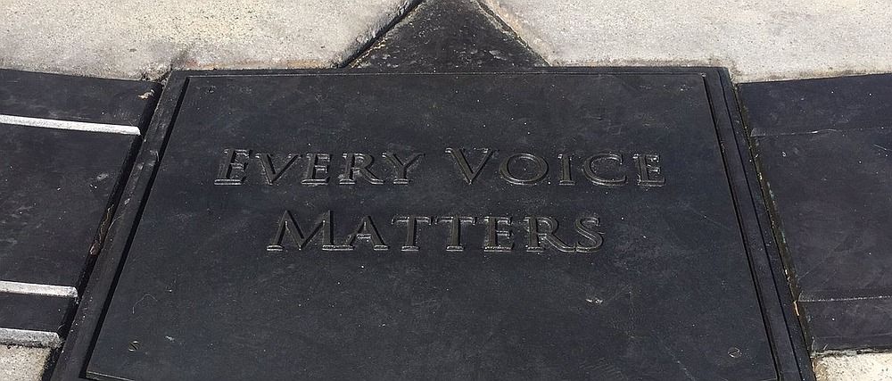 Blizzard Every Voice Matters