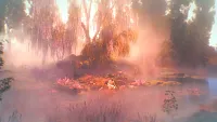 Click image for larger version

Name:	GRAFT_screenshot06.webp
Views:	154
Size:	107.2 KB
ID:	3541847