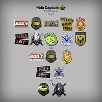 Halo sticker capsule CSGO