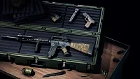 Click image for larger version  Name:	RTBF6_Weapon_Skin_M16A3.webp Views:	0 Size:	327.5 KB ID:	3539505