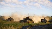 Click image for larger version

Name:	hummers_attack.jpg
Views:	244
Size:	244.5 KB
ID:	3517518