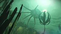 Click image for larger version

Name:	squids-2-1040w.webp
Views:	434
Size:	29.1 KB
ID:	3535232