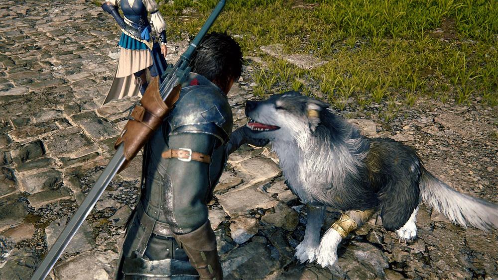 A man in leather armor and a sword on his back leaning over and petting a large grey dog.