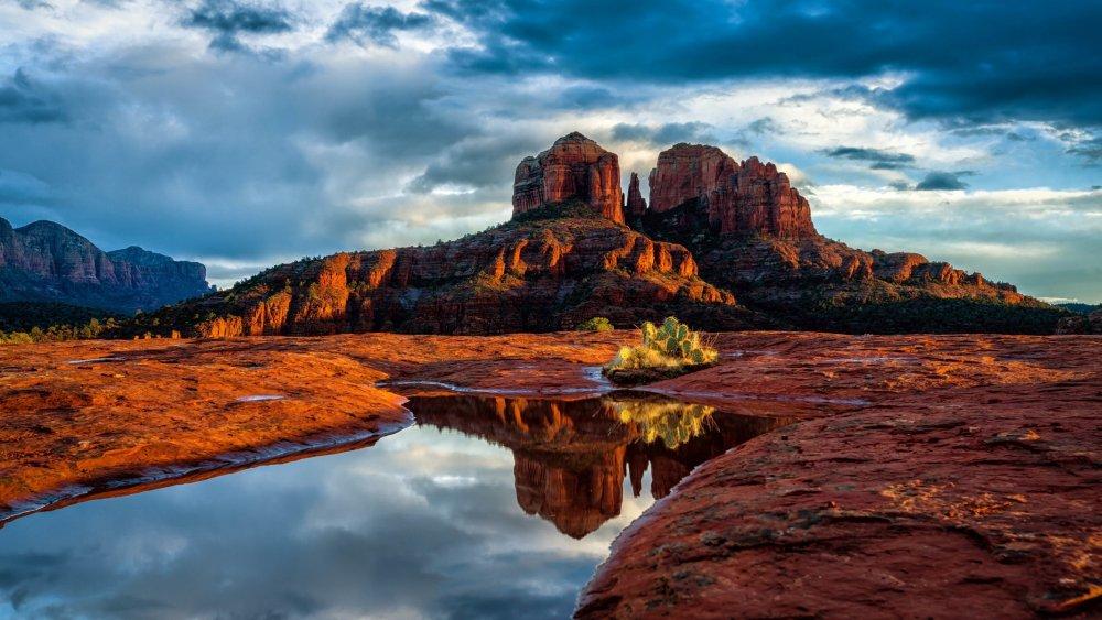 Arizona