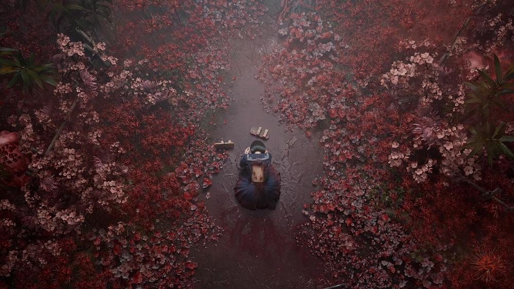 A person with marks on their back on their hands and knees in a field full of blood red flowers.
