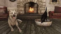 Click image for larger version

Name:	S19_Pets_1080p.webp
Views:	322
Size:	264.0 KB
ID:	3534090
