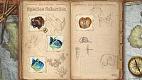 Click image for larger version

Name:	Evolution_PC_Mobile_1.jpg
Views:	156
Size:	688.0 KB
ID:	3492205