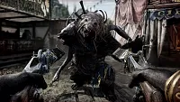 Click image for larger version

Name:	Hunt 2.2_Store Shot_3C.webp
Views:	307
Size:	283.9 KB
ID:	3534337