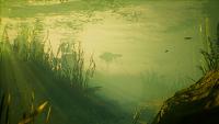 Click image for larger version

Name:	Maneater_Launch_Screen_18.jpg
Views:	324
Size:	535.5 KB
ID:	3502657