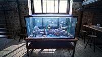 Click image for larger version  Name:	Fishkeeper (1).jpg Views:	0 Size:	194.8 KB ID:	3507974
