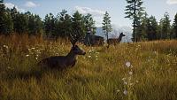 Click image for larger version

Name:	Way_of_the_Hunter_Announcement_Screenshot_White_Tail_Deer.jpg
Views:	289
Size:	1.35 MB
ID:	3519392
