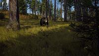 Click image for larger version

Name:	Way_of_the_Hunter_Announcement_Screenshot_BlackBear.jpg
Views:	271
Size:	1.22 MB
ID:	3519389