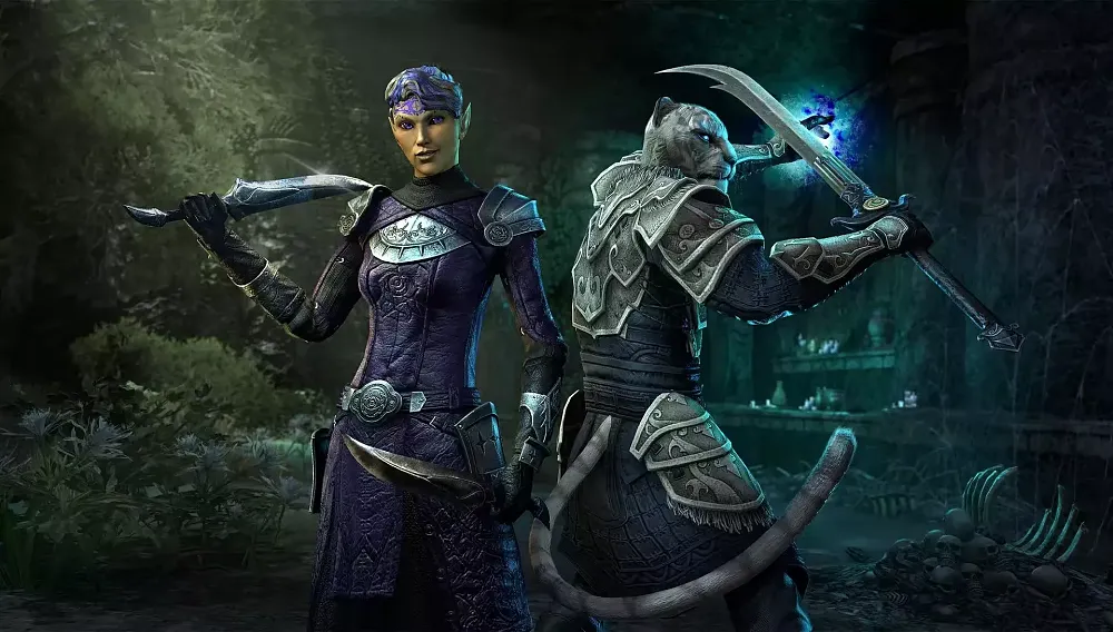 Two Elder Scrolls Online companions, on the left is a dark elf with a short blade, on the right is a khajiit (cat person) with a longer sword in hand.