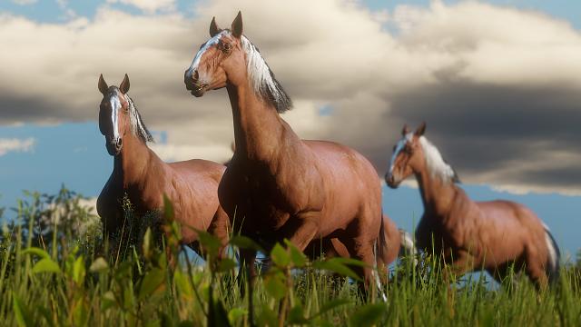 Red Dead Redemption 2 horse