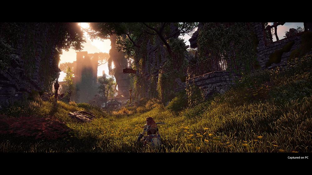 Horizon Zero Dawn PC