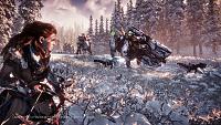 Click image for larger version  Name:	Horizon Zero Dawn (5).jpg Views:	0 Size:	485.5 KB ID:	3501134