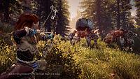 Click image for larger version  Name:	Horizon Zero Dawn (2).jpg Views:	0 Size:	507.5 KB ID:	3501135