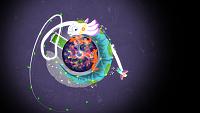 Click image for larger version  Name:	Gravity Ghost DE (12).jpg Views:	1 Size:	296.9 KB ID:	3496032