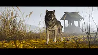 Click image for larger version

Name:	GOY The Wolf 001 SS.webp
Views:	105
Size:	241.5 KB
ID:	3537042
