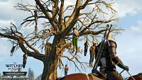 Click image for larger version

Name:	Witcher3-Switch-They_call_it_the_Hanged_Mans_Tree_for_a_reason-RGB-EN.jpg
Views:	586
Size:	294.6 KB
ID:	3495587