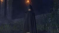 Click image for larger version  Name:	Elden Ring (2).jpg Views:	0 Size:	146.6 KB ID:	3516088