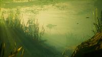 Click image for larger version

Name:	Maneater_NextGen_3.jpg
Views:	211
Size:	512.1 KB
ID:	3506683