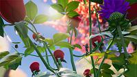 Click image for larger version

Name:	Roses.jpg
Views:	480
Size:	507.9 KB
ID:	3498809
