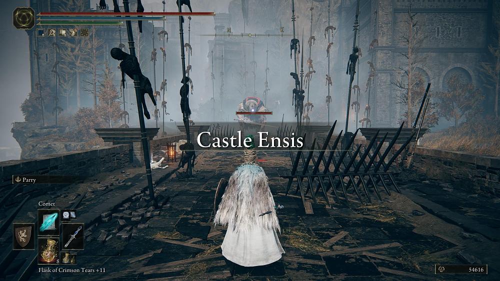 A sorcerer stands on a bridge leading to a castle, the words Castle Ensis is shown in the middle of the screen. Charred remains of humans are embedded on pikes sticking up out of the bridge. A tall figure awaits at the far end of the bridge.