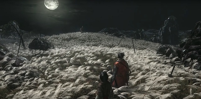 Sekiro: Shadows Die Twice