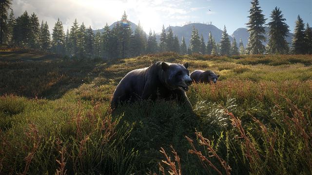theHunter: Call of the Wild 2019 Edition