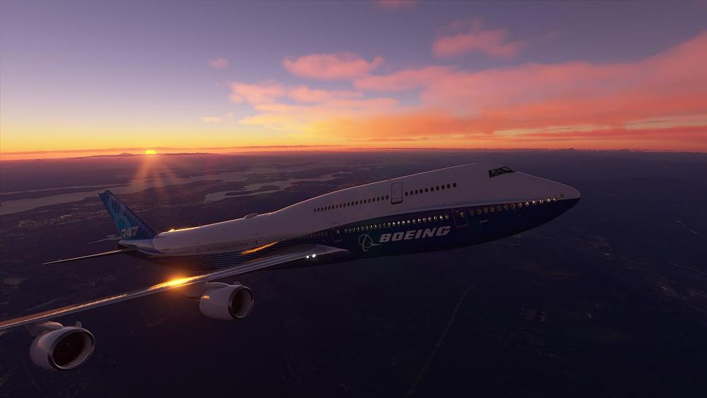 Microsoft Flight Simulator