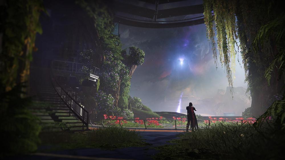 A person staring out into the environment from an overgrown interior.