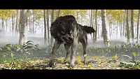 Click image for larger version

Name:	454193679396e9c4d1afeb89fe7a735951d468eb.webp
Views:	143
Size:	156.5 KB
ID:	3532725
