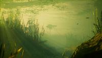 Click image for larger version

Name:	Maneater_Launch_Screen_18.jpg
Views:	663
Size:	513.7 KB
ID:	3503308