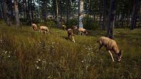 Click image for larger version

Name:	Way_of_the_Hunter_Announcement_Screenshot_MuleDeer.jpg
Views:	276
Size:	1.34 MB
ID:	3519390