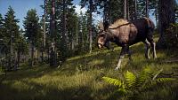 Click image for larger version

Name:	Way_of_the_Hunter_Announcement_Screenshot_Moose.jpg
Views:	269
Size:	1.64 MB
ID:	3519391