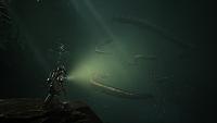 Click image for larger version  Name:	TSC_screenshot_diving_eels.jpg Views:	1 Size:	263.7 KB ID:	3495866