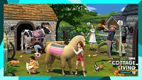 Click image for larger version

Name:	image_27984.jpg
Views:	240
Size:	1.50 MB
ID:	3512110