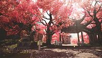Click image for larger version  Name:	SOLO-Environment-Screenshot (8).jpg Views:	0 Size:	727.8 KB ID:	3511827