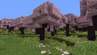 Click image for larger version

Name:	CherryBlossom_1280x720_1.webp
Views:	259
Size:	169.5 KB
ID:	3522436