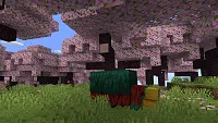 Click image for larger version

Name:	CherryBlossom_1280x720_2.webp
Views:	256
Size:	180.0 KB
ID:	3522437