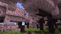 Click image for larger version

Name:	CherryBlossom_1280x720_3.webp
Views:	248
Size:	182.3 KB
ID:	3522438