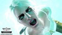 Click image for larger version

Name:	Witcher3-Switch-Got_a_bad_feeling_about_this-RGB-EN.jpg
Views:	286
Size:	157.1 KB
ID:	3495583