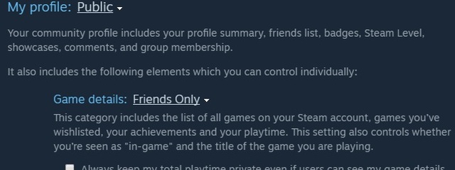Steam privacy